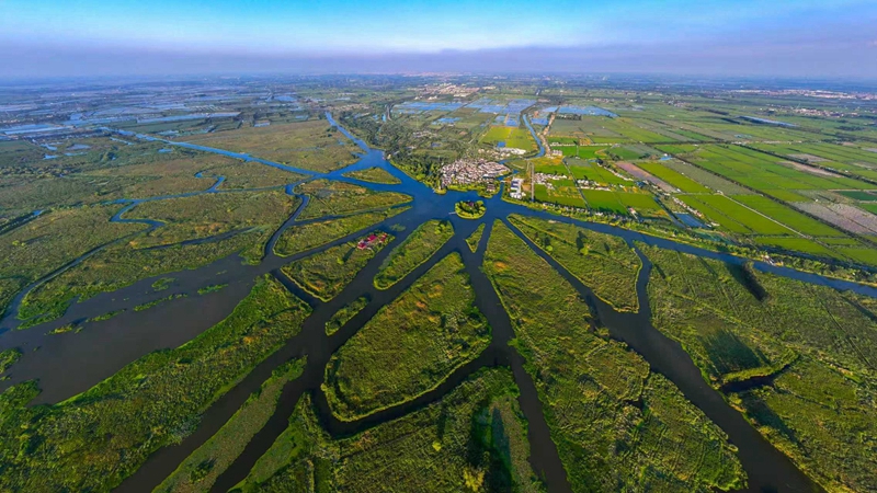航拍建湖縣九龍口國家濕地公園。