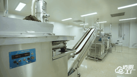 山茱萸加工成丸。