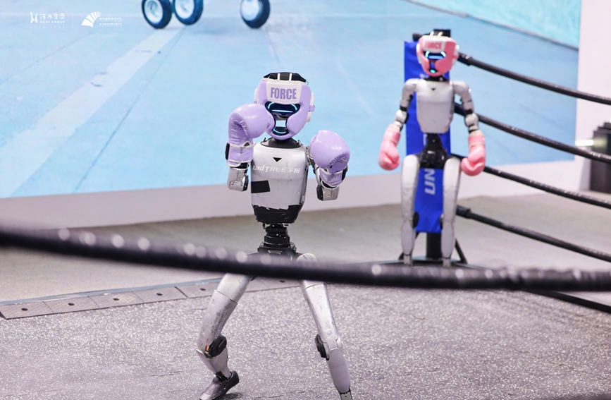 宇樹科技機器人進行拳擊表演。 主辦方供圖