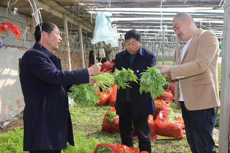 灌云煙草赴南崗產(chǎn)業(yè)園區(qū)調(diào)研。受訪者供圖