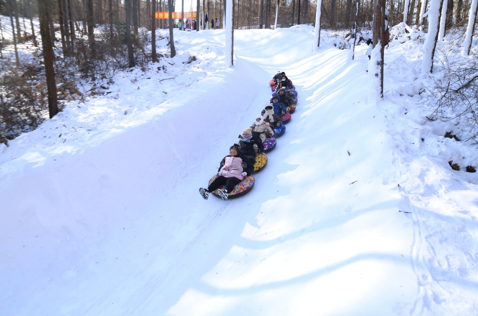 撫順2000米長的“雪地貪吃蛇”林間雪圈道上，尖叫聲不斷。
