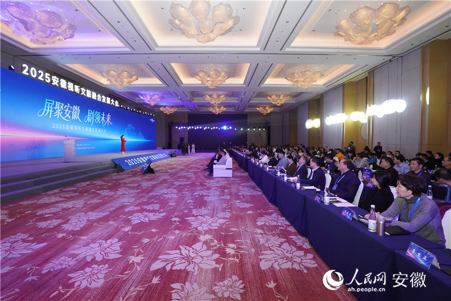 2025安徽視聽文旅融合發(fā)展大會現(xiàn)場。人民網記者 陳若天攝