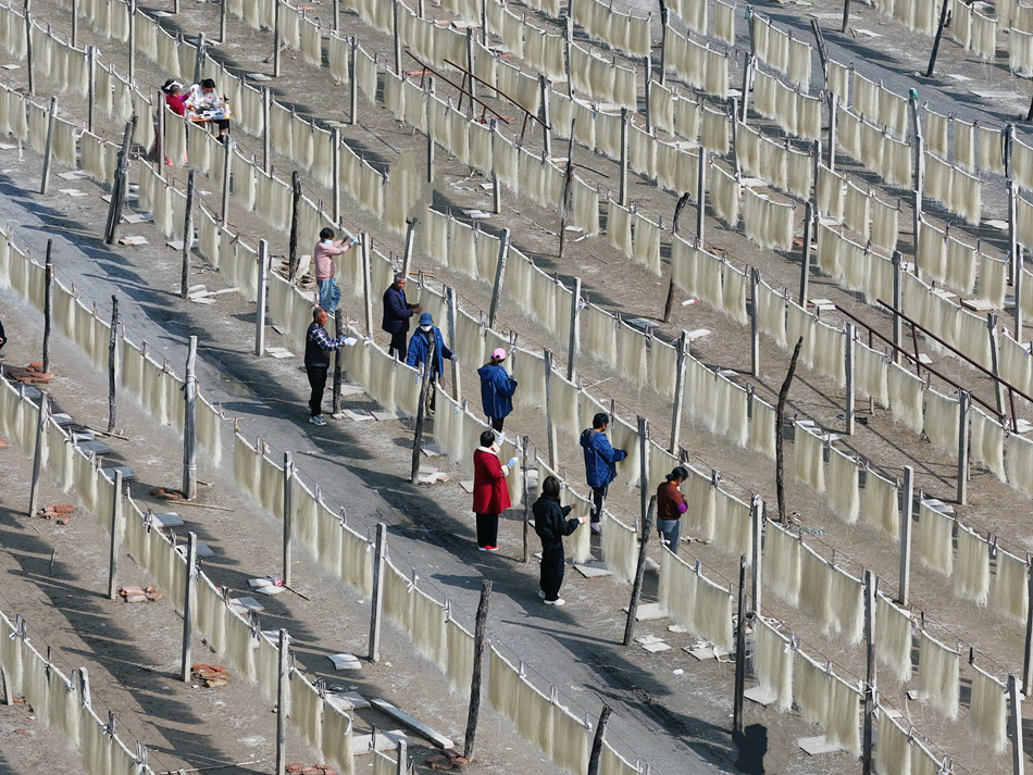 高家堰鎮(zhèn)30畝連片的粉絲晾曬場。徐薇攝