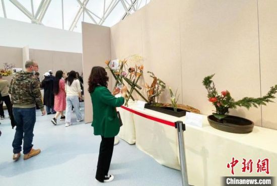 �񱊅��^�廨��ِ��Ʒչ������ɺɺ �z