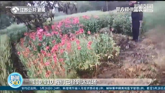 �r(n��ng)������͵�N3000�������� ��ͨ���� �f���Խo�i��������