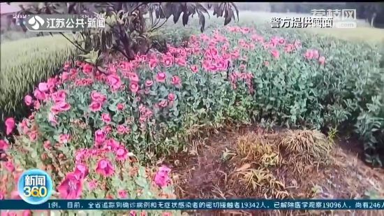 �r(n��ng)������͵�N3000�������� ��ͨ���� �f���Խo�i��������