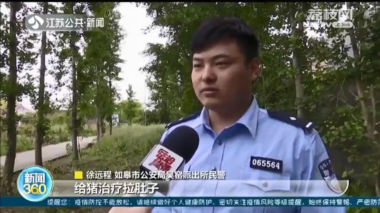 �r(n��ng)������͵�N3000�������� ��ͨ���� �f���Խo�i��������