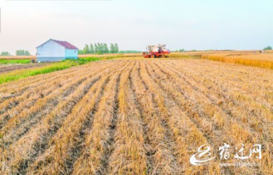 ���飺�S��?q��ng)D�����ͮ�4(1471086)-20210604082652