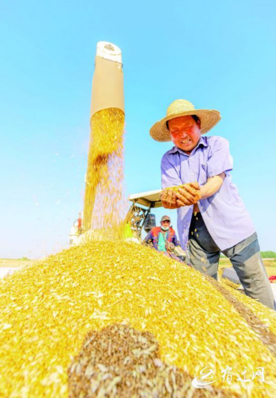 ���飺�S��?q��ng)D�����ͮ�3(1471087)-20210604082718