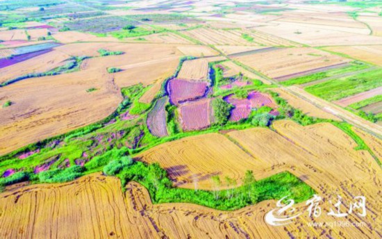 ���飺�S��?q��ng)D�����ͮ�9(1471090)-20210604082713