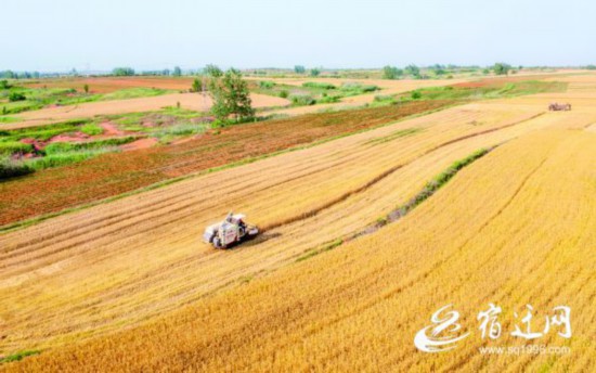 ���飺�S��?q��ng)D�����ͮ�6(1471089)-20210604082709