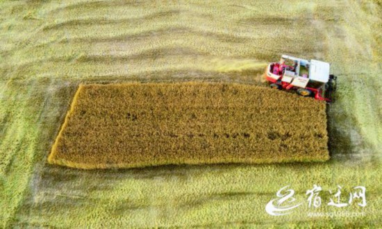 ���飺�S��?q��ng)D�����ͮ�8(1471093)-20210604082659