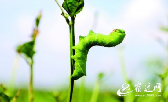 QQ圖片20210823164035(1597146)-20210824082535