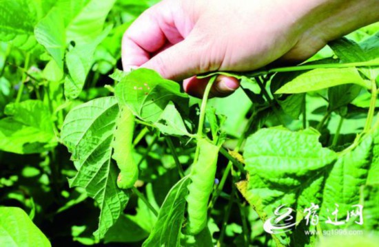 QQ圖片20210823164057(1597142)-20210824082552