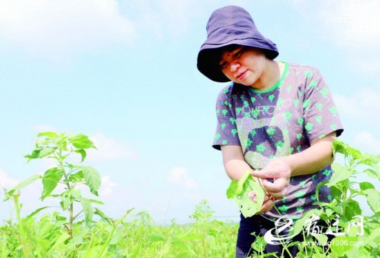 QQ圖片20210823164023(1597143)-20210824082522