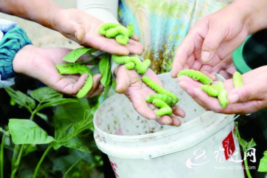 QQ圖片20210823163841(1597148)-20210824082546