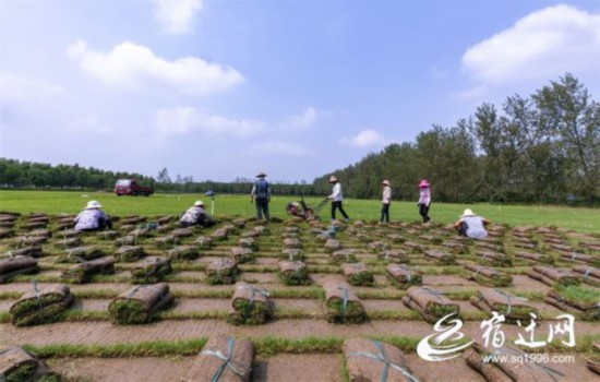 7b4061a6f5dfdcda5f68515f92edc8c43ca6d772