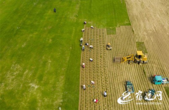 1bb7ab5ff6c26e6c8e09146ce2673719ee99f99e