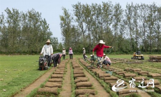 c3ca2ee568620fef9b4532a21f23d0f4c67b3c3f