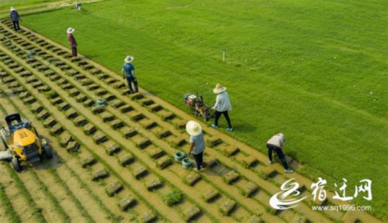 b4e824d6d4bbe218a57dc414573ec583769d8e4a