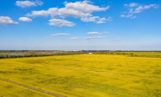 微信圖片_20211019084748