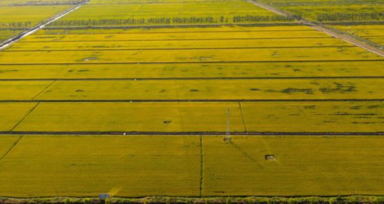 微信圖片_20211019084744