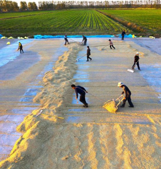 微信圖片_20211019084737