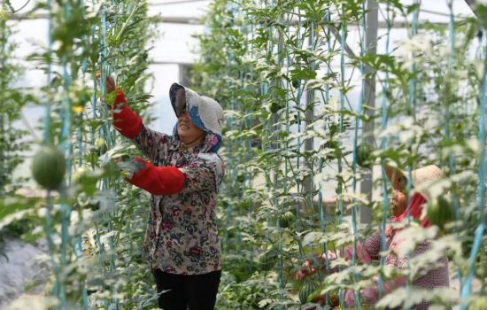 �����MϪ���r(n��ng)�ڬF(xi��n)���r(n��ng)�I(y��)ʾ���@��(n��i)��ժ�������ψ�(b��o)��ý�wӛ�� �T�M �z