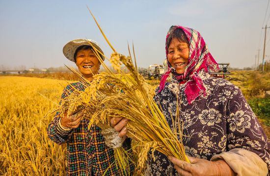 �r(n��ng)��Ę�ϒ�M��Ц�����ψ���ý�wӛ�� ����Ӗ(x��n) �z