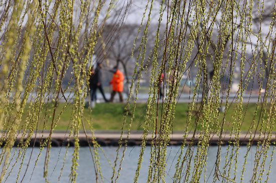 3��8�գ��������ɫ�M�@��������������ǰ��̤���p���� �Ͼ���?q��ng)?b��o)/�Ͻ�ɽ��?d��ng)��?���� �z