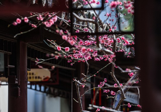 3��8�գ�հ�@�ﴺ�����������z�¾G�����g�[�����÷�@�ݣ�׌�������� �Ͼ���?q��ng)?b��o)/�Ͻ�ɽ��?d��ng)��?����Ӗ(x��n) �z