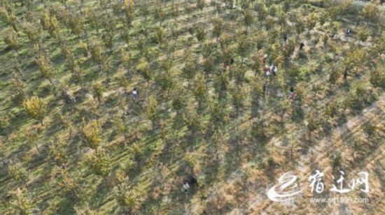 be844de23bdaab2d847c9b13bd6153b2586d28c2