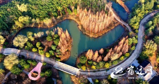 生態(tài)公園 冬景如畫(報(bào)紙)(2513552)-20221213084037