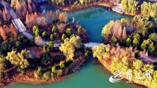 生態(tài)公園 冬景如畫(報(bào)紙)(2513550)-20221213084040