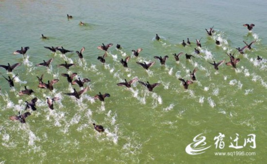 0b2fb484dda31d6a0ce86ca21f6ad45c3f75dddd