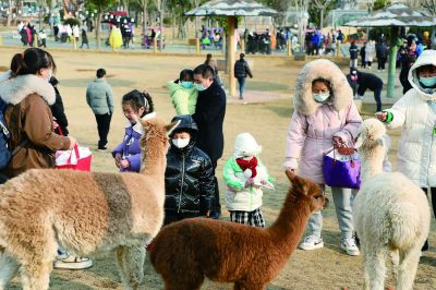 金牛湖野生動物王國內(nèi)游人如織，到處歡聲笑語，呈現(xiàn)出一片熱鬧祥和的景象。