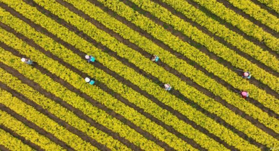 彩色經(jīng)濟   富民增收(2786700)-20230524093618