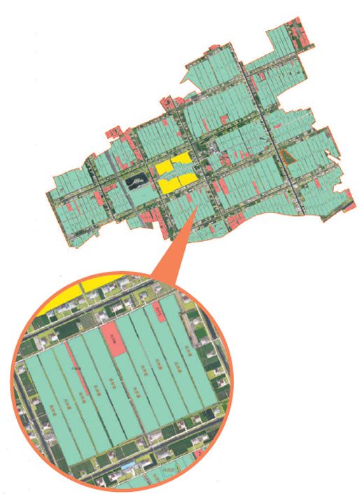 鹽城市亭湖區(qū)曙陽村“小田變大田”改革后承包地塊分布圖。鹽城市亭湖區(qū)農(nóng)業(yè)農(nóng)村局供圖