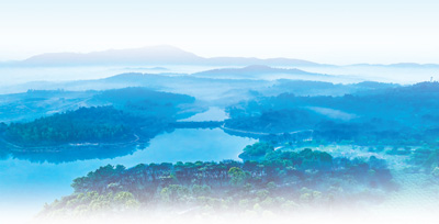 江蘇省溧陽市天目湖景區(qū)綠意盎然，景色宜人。邵 良攝