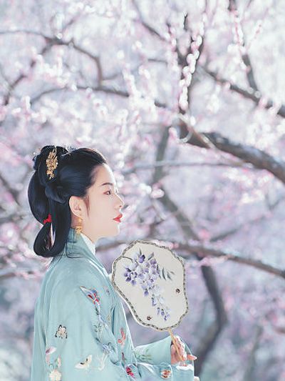 身著古風(fēng)服飾的游客在梅花前留影。唐 輝攝（人民視覺）