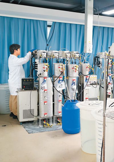 圖為中宜金大環(huán)保研究院的科研人員在進(jìn)行治污菌群培養(yǎng)試驗(yàn)。本報(bào)記者 楊俊峰攝