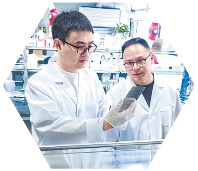 朱斌（左）和團(tuán)隊(duì)成員研究改進(jìn)輻射制冷材料。