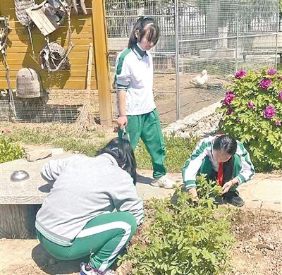 學(xué)生們在北京市付家臺中心小學(xué)百年古渠教育園內(nèi)勞動。門頭溝區(qū)水務(wù)局供圖