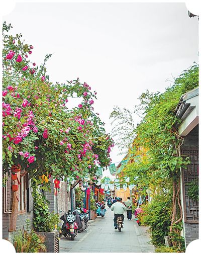 更新后的仁豐里歷史文化街區(qū)。呂躍中攝